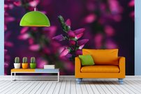 Tapeta Ružová kvetina - KV 0129