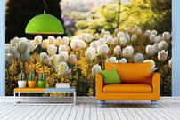 Tapeta Tulipány - KV 0132