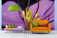 Tapeta Purpurový kvet - KV 0134