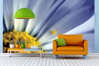 Tapeta Sedmokráska - KV 0136