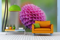 Tapeta Ružový kvet - KV 0138