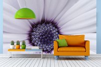 Tapeta Kvet - KV 0142