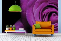 Tapeta Fialová ruža - KV 0145