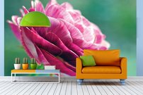 Ružový kvet - KV 0155