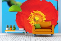 Červený kvet - KV 0158