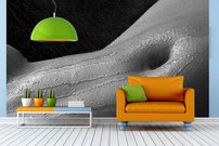 Tapeta Bruško - AT 0105