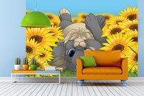 Tapeta Mačiatko - AN 0034