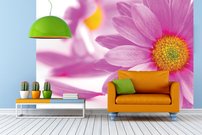 Tapeta Ružový kvet - KV 0028