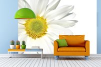 Tapeta Margarétka - KV 0063