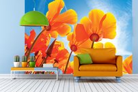 Tapeta Oranžové kvety - KV 0066