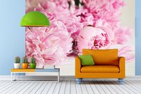 Tapeta Ružové kvety - KV 0069