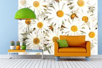 Tapeta Margarétky - KV 0071