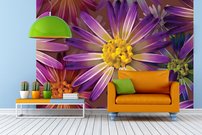 Tapeta Fialový kvet - KV 0091