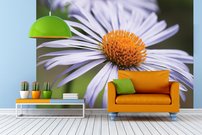 Tapeta Sedmokráska - KV 0102