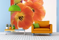 Tapeta Kvetiny - KV 0113