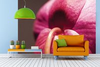 Tapeta Ružový kvet - KV 0122