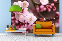 Tapeta Ružové kvety - KV 0126