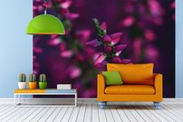 Tapeta Ružová kvetina - KV 0129