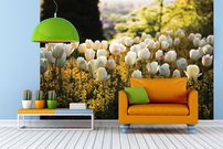 Tapeta Tulipány - KV 0132