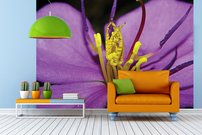 Tapeta Purpurový kvet - KV 0134