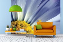 Tapeta Sedmokráska - KV 0136