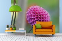 Tapeta Ružový kvet - KV 0138