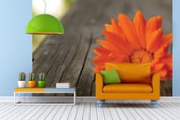 Tapeta Oranžový kvietok - KV 0139