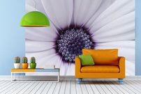 Tapeta Kvet - KV 0142