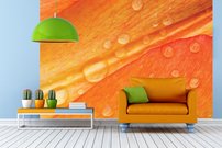 Tapeta Lupene - KV 0143