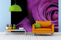 Tapeta Fialová ruža - KV 0145