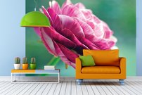 Ružový kvet - KV 0155