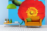 Červený kvet - KV 0158