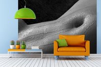 Tapeta Bruško - AT 0105