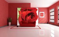 Tapeta Červená ruža - KV 0084