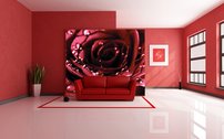Tapeta Červená ruža-KV 0110 - červená ruža