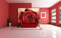Červená ruža - KV 0152