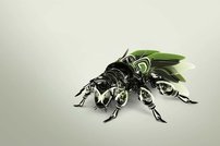 Tapeta Mucha - TK 0016