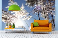 Tapeta Tráva - PK 0139