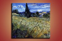 pšeničné pole - VG 0025