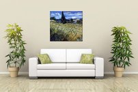 pšeničné pole - VG 0025