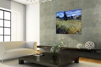 pšeničné pole - VG 0025