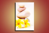 Žlté kevty - WS 0039