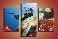 Morská korytnačka - ZR 0011