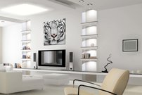 obraz na stenu biely tiger - 3