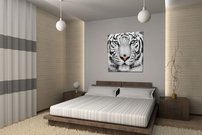 obraz na stenu biely tiger - 4