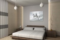 Biele kone - ZR 0038