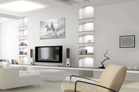 Biele kone - ZR 0038