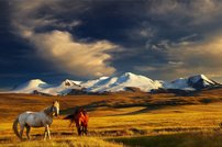 Tapeta ZR 0039 - Kone