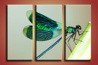 obraz na stenu vazka - 2