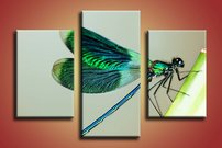 obraz na stenu vazka - 3